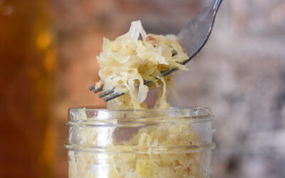 Sauerkraut selber machen – das gesunde Gemüse eigenständig zubereiten